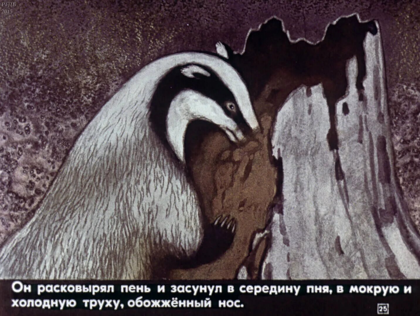 Стальное колечко константин паустовский книга. Константин георгиевич паустовский стальное колечко. Кот ворюга константин паустовский книга. К г паустовский стальное колечко. Паустовский рассказы стальное колечко.
