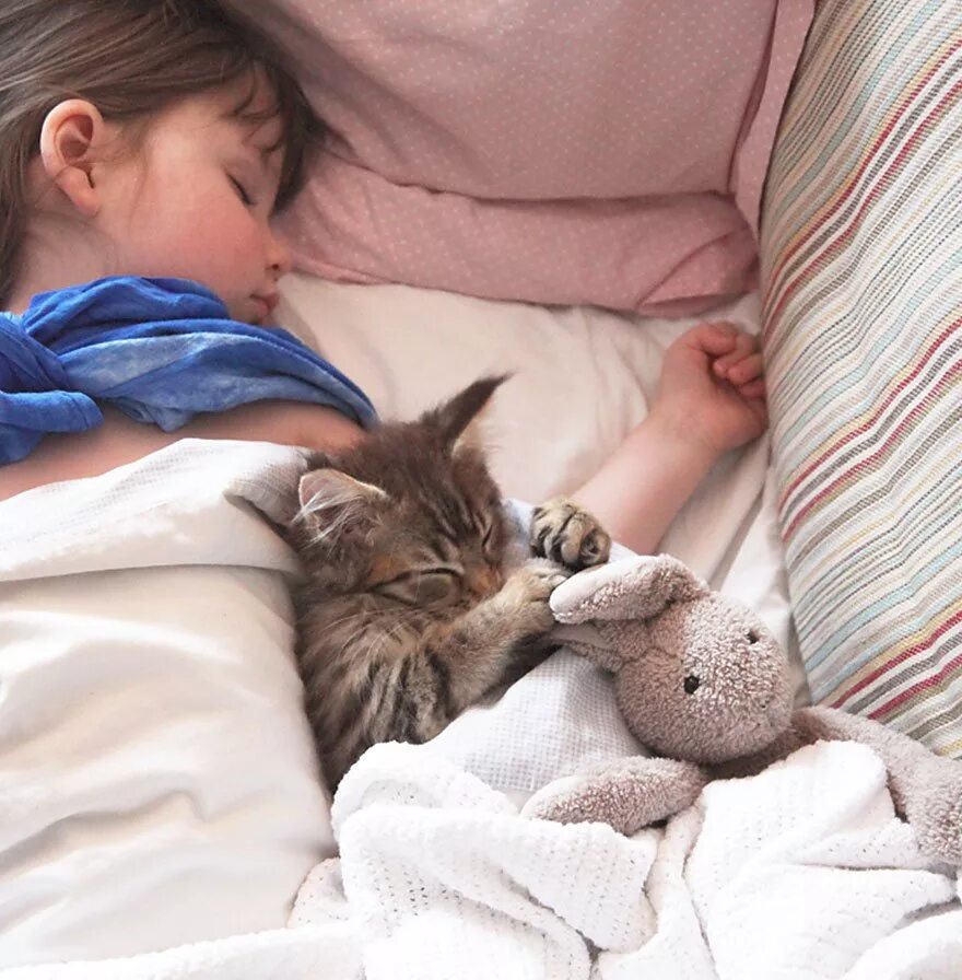 Сон ребенок котенок. Кошка спит. ребенок спит с котом. девочка спит с кошкой. девушка спит с котенком.