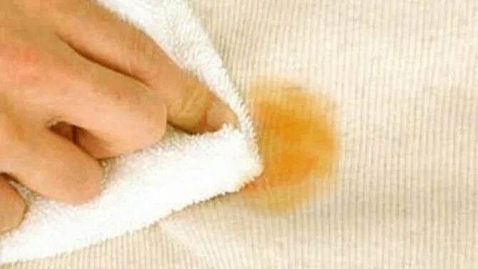 пятно на шерстяной кофте. пятно на шерстяной кофте. старые пятна крови на ткани. пятно на шерстяной кофте. свитер с пятнами.