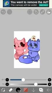 Номер кошки
