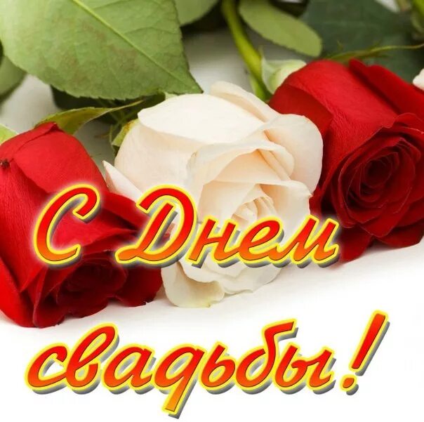 Поздравление со свадьбой дочери. Маму со свадьбой дочери. С днем свадьбы!. Поздравления сдеем свадьбы. С днем свадьбы дочери.