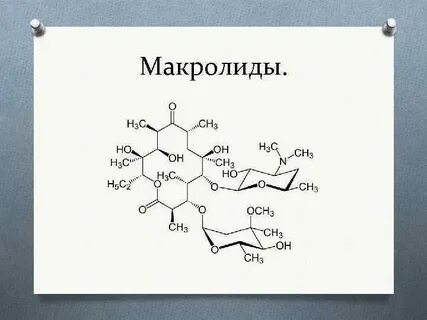 Антибиотики аминогликозиды макролиды тетрациклины