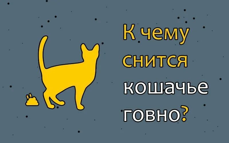 Сон экскременты