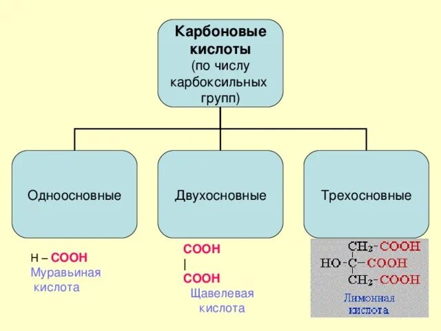 Трехосновные карбоновые кислоты. Трехосновная органическая кислота. Двухосновные и трехосновные кислоты. Одноосновные и двухосновные кислоты.