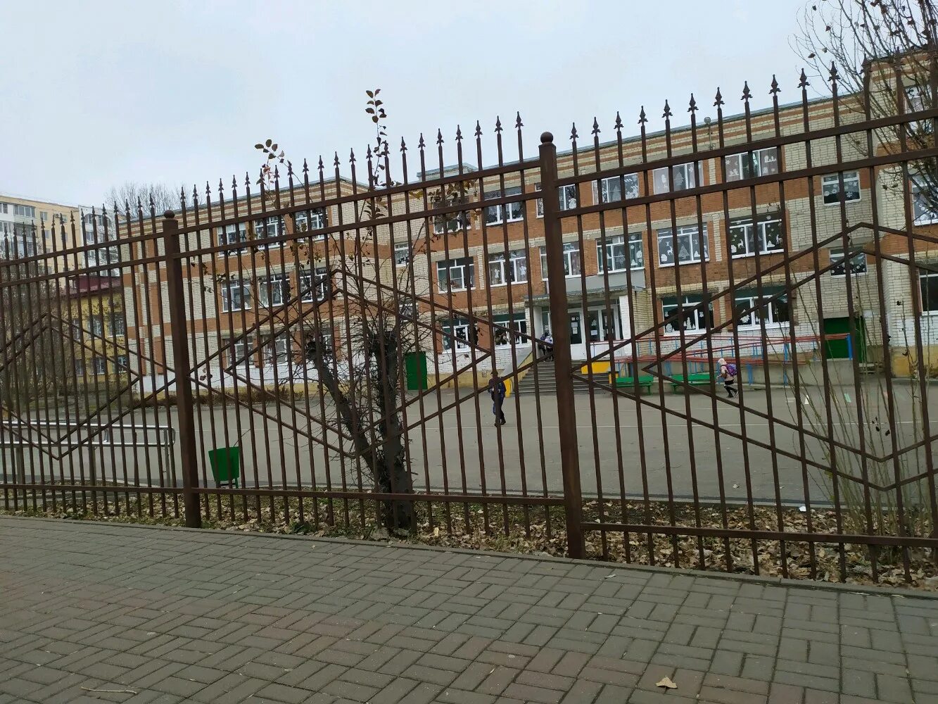 Мбоу 50 ставрополь. МБОУ лицей 35 Ставрополь. 35 ШК Ставрополь. 35 Лицей Ставрополь учителя. Директор 35 лицея Ставрополь