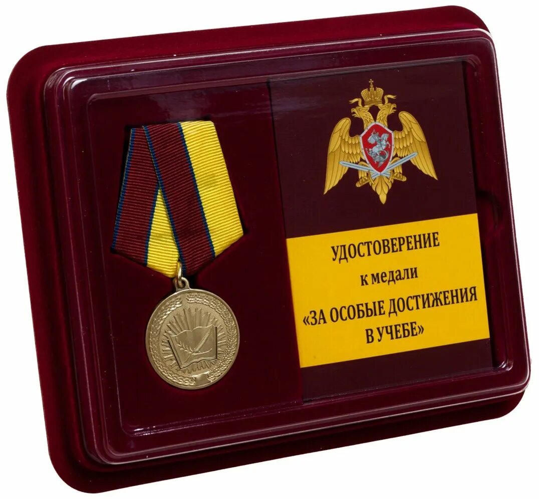 Особые достижения в службе это. Особые достижения в службе это