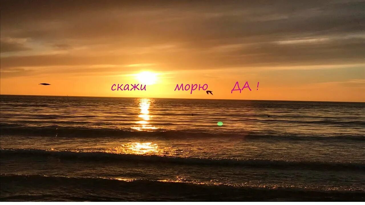 А потом гриша сказал на море. Скажи море. Скажи морю да. Расскажи о море. Картинки с надписью привет из солнечной Анапы.