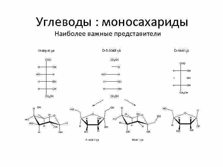 Наиболее распространенный моносахарид. Углеводы моносахариды формулы. Моносахариды олигосахариды полисахариды. Таблица моносахариды углеводы Глюкоза. Углеводы представители моносахариды.