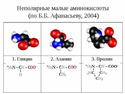 Гидрофобные взаимодействия радикалов аминокислот