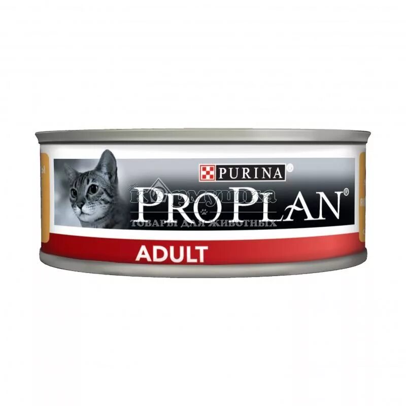 Pro plan для котов. Корм для кошек Purina PROPLAN delicat. Пурина Проплан паштет для кошек. Проплан Деликат паштет для кошек. Пурина Проплан Деликат для котят.