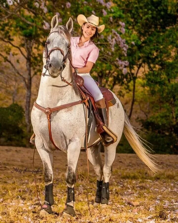 Красивая в позе наездницы. Дикая наездница. Фотосессия в стиле наездницы. Поза наездника на лошади. Девушка кобыла.