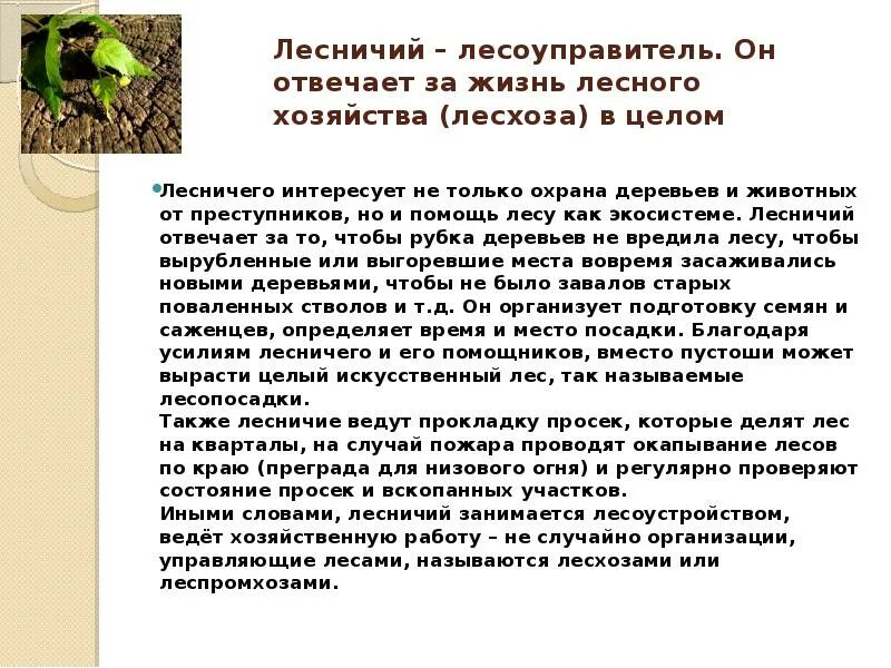 Творческий проект о работниках лесного хозяйства Истории лесника