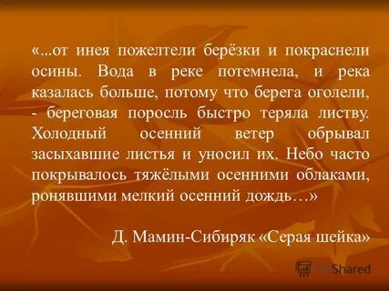 От инея пожелтели березки и покраснели