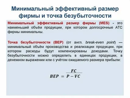 Эффективный размер фирмы