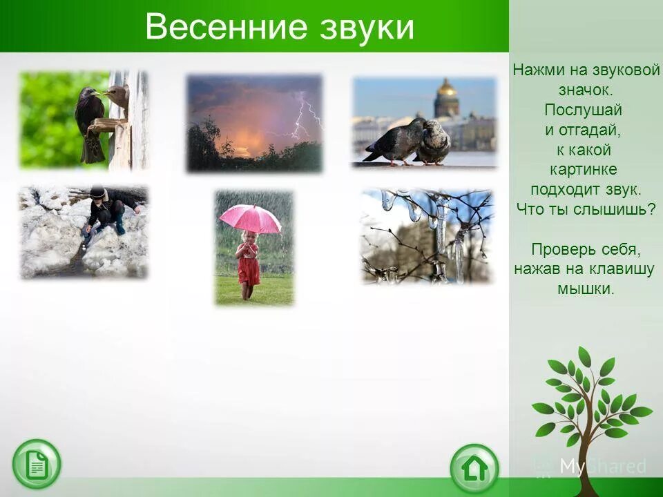 Весенние звуки. Презентация звуки весны. Весенние звуки природы. Звуки весны рассказ.