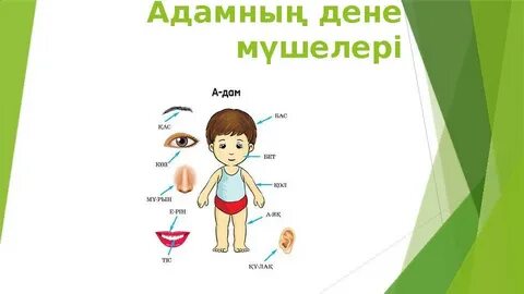 Саратовта секс іздеп жүрсіз бе?