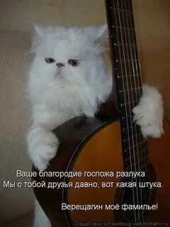 Госпожа разлука