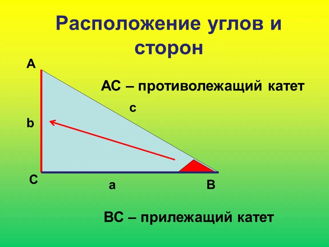 Противолежащий угол в треугольнике. Противолежащие и прилещаие угла треугольника. Противолежащие и прилежащие стороны прямоугольного треугольника. Прилежащий и противолежащий угол. Катет прямоугольного треугольника через тангенс