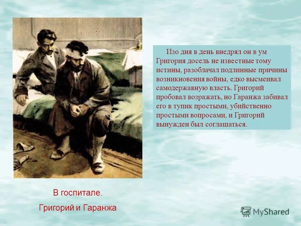 Тест по тихому дону 11 класс. Тихий Дон госпиталь. Сцена в госпитале тихий Дон. Гаранжа в романе тихий Дон.