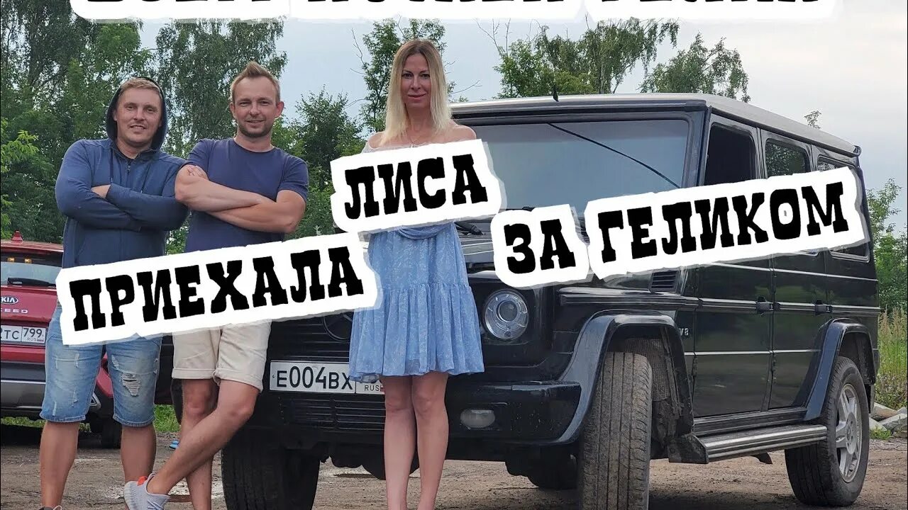 Лиса рулит. Лиса рулит гелендваген за 13 миллионов. Лиса рулит гелендваген. Лиса рулит гелендваген. Лиса гелик.
