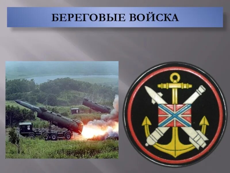 Береговые войска ВМФ России рода войск. Войска береговой обороны ВМФ. Военно морской флот береговые войска. Береговые ракетно-артиллерийские войска.