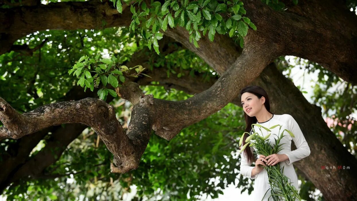 Весенние фотосессии на природе. Фотосессия на дереве. Идеи для фотосессии на природе. Девичье дерево. Девушка около дерева.