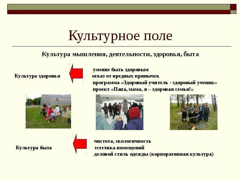Культурное поле это. Соломанидиной. Культурное поле младшего школьника. Культурное поле школьника это. Культурное поле это.