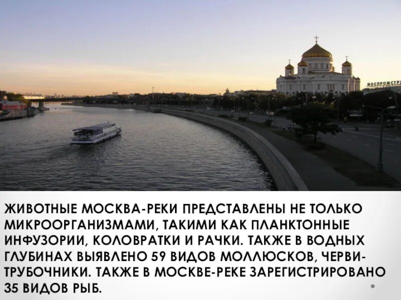 Реки Москвы презентация. Москва река сообщение. Сообщение про реку Москва река. Москва река доклад. Москва река краткое содержание