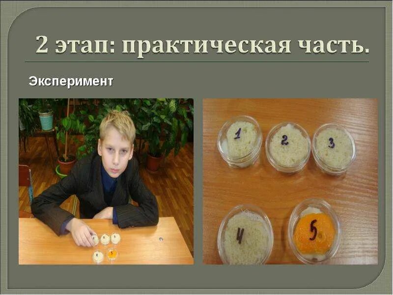 Эксперименты время концентрация. Диффузия в холодной и горячей воде. Опыт с временем. Время опыт физика. Время экспериментировать.