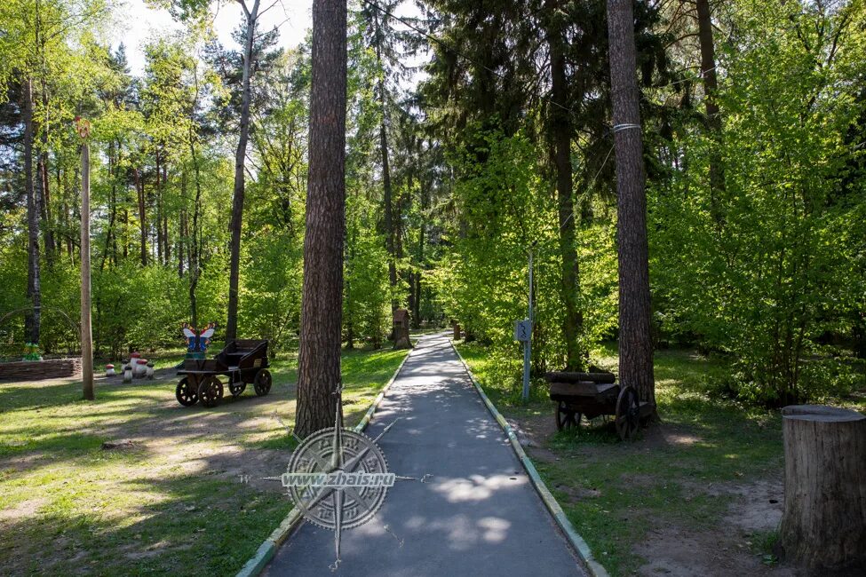 Новости
