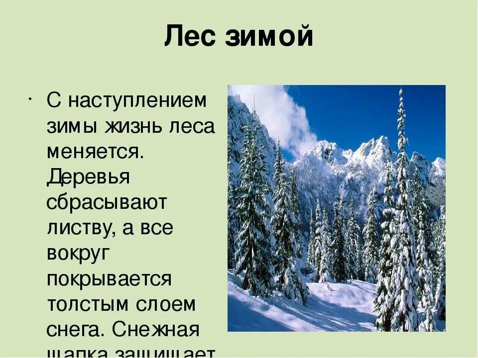 Текст зимой на лыжах