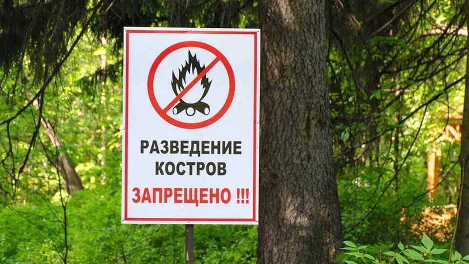 Разведение костров запрещено. В лесу запрещается. Запрет на костры в лесу. Запретить: - разведение костров в лесах. Где можно встретить знак костры разводить запрещено