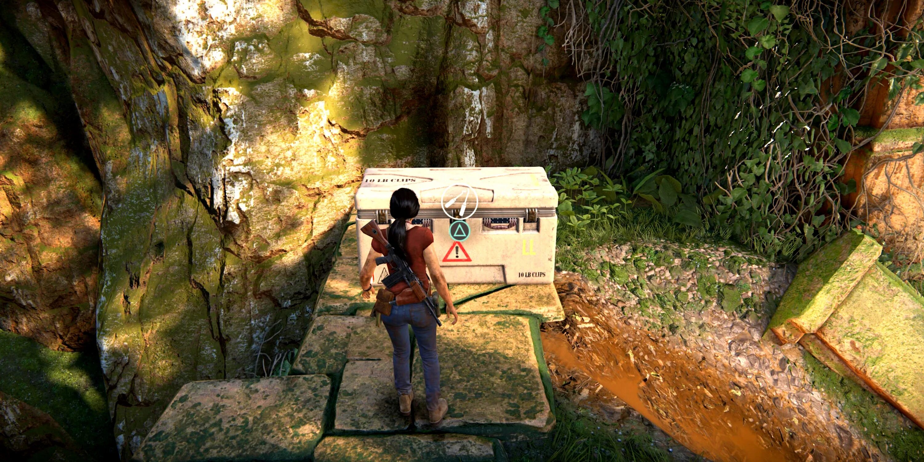 Uncharted lost прохождение. Анчартед 4 сокровища. Uncharted: the Lost Legacy обезьяны. Анчартед зе ласт Легаси. Uncharted Legacy тени.