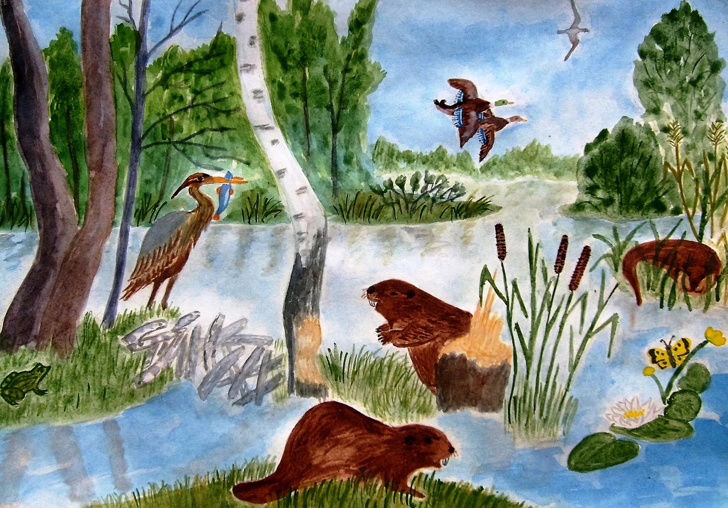 И д с элементами природы. Природа рисунок. Рисунок на тему природа. Природа рисунок для детей. Иллюстрации сообщества природы.