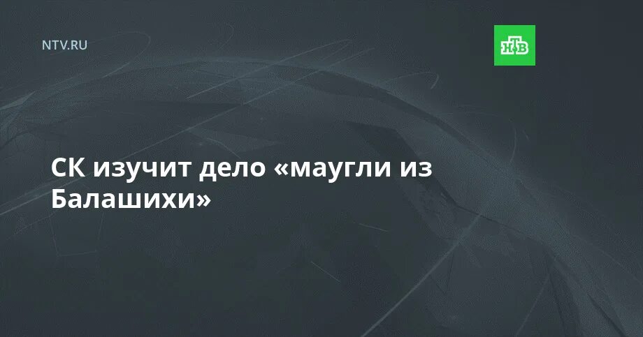Не выявленно или не выявлено. Изучив дело. Вклад в московское образование. Учите историю. Маугли из балашихи мужское.