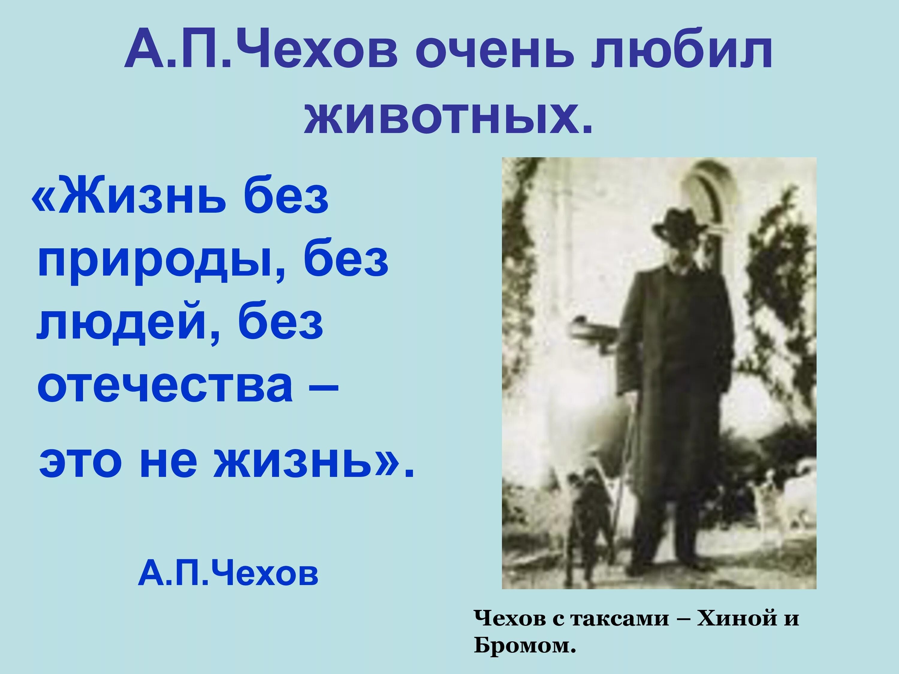 Чехов рассказы презентация. А. п. чехов. «белолобый» 4 класс. чехов для детей презентация. чехов и животные презентация. презентация а.п. чехов &quot;белолобый&quot; 4 класс.