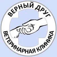 Верный друг центр. Ветклиника верный друг Киров. Ветеринарная клиника Киров Подгорная 7. Дерендяева 80 Киров верный друг ветклиника. Клиника верный друг Киров на Подгорной.