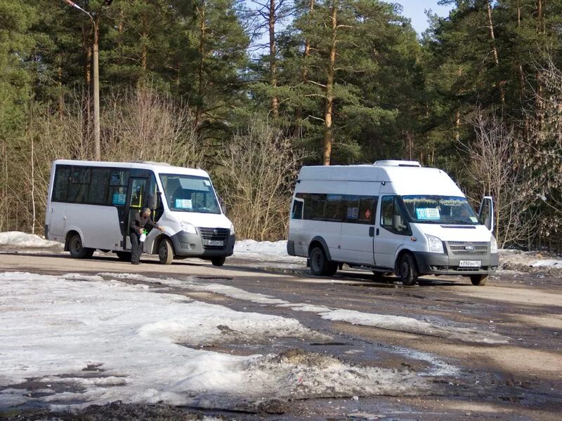 Автобус в Мулино. Маршрутка Мулино Володарск. Автобус 316 Дзержинск Мулино. Автобусы Дзержинск.