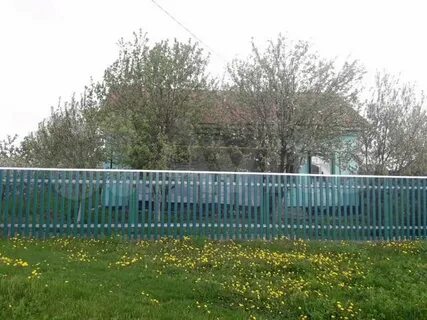 Авито апастово