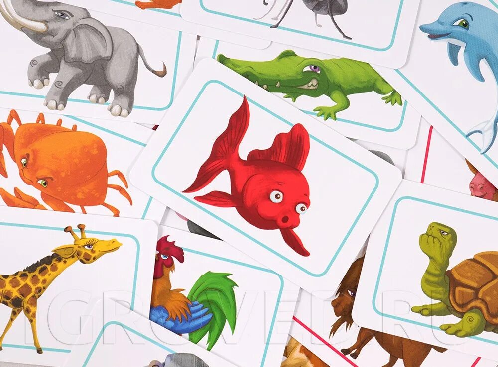 Карты животных игра. Концепт с животными игра. игра концепт для детей животные. зверь настольная игра. царство зверей настольная игра.