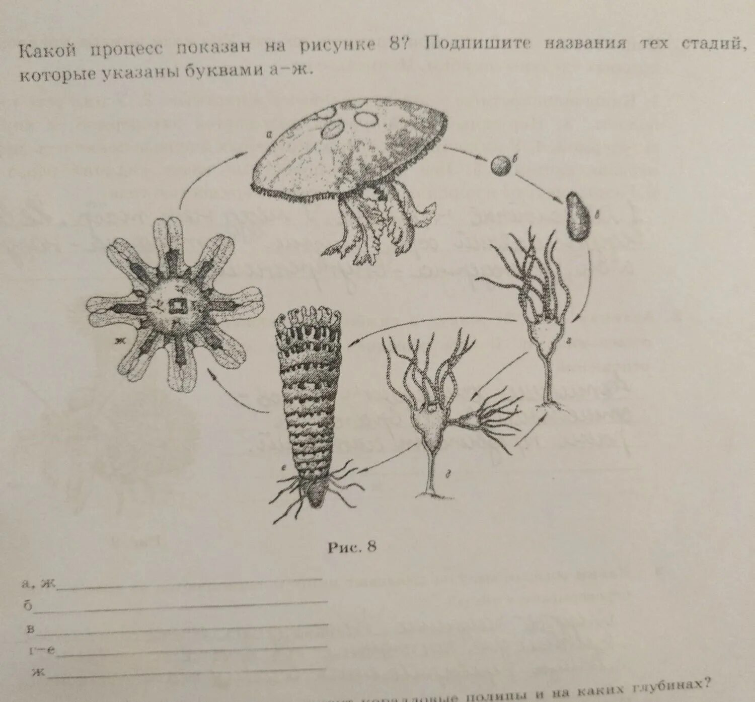 Какой процесс изображен на рисунке?. Подпишите названия рисунок. Назовите процессы изображенные на рисунке. Какой процесс показан на р сунке.