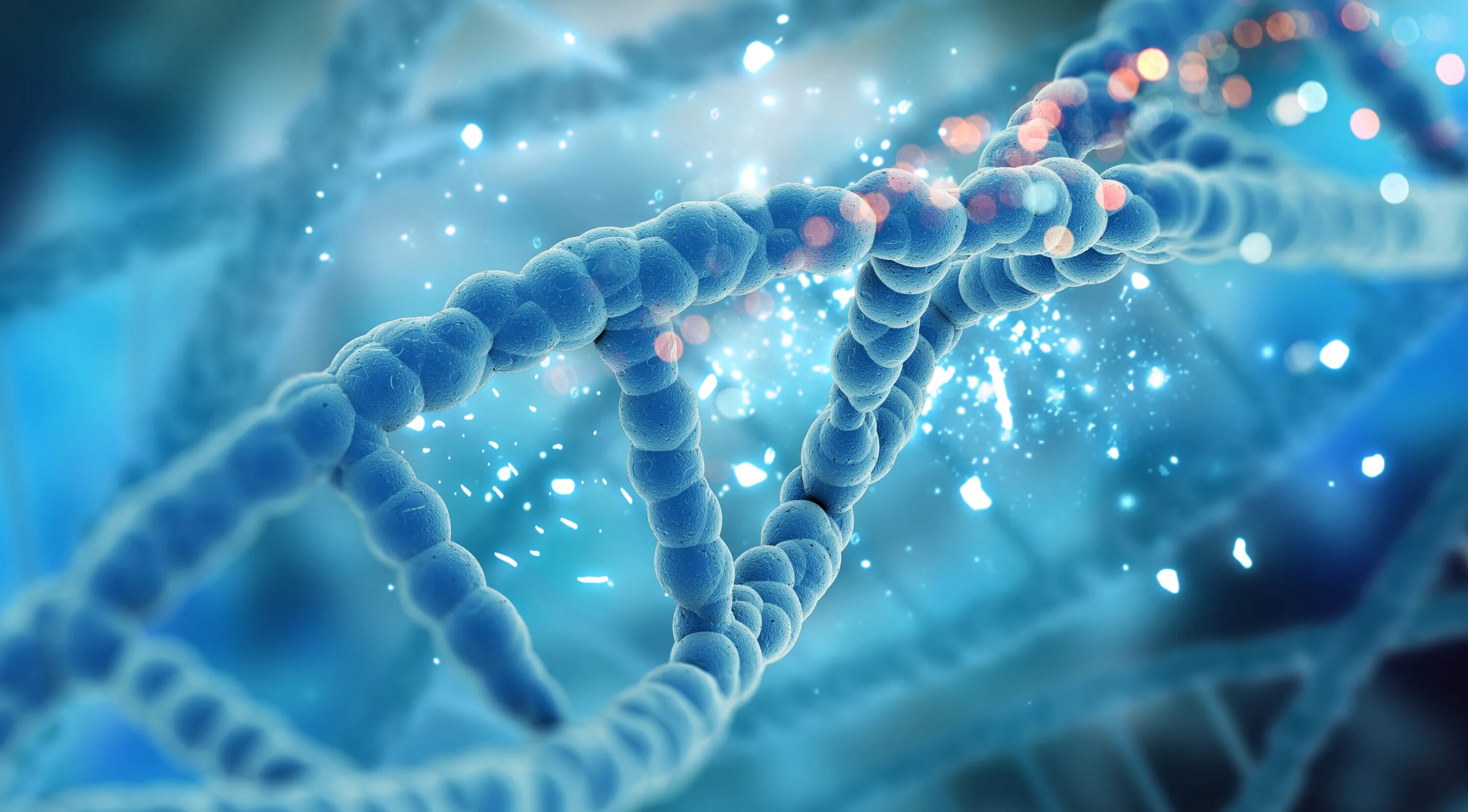 Днк генетика биология. Genetic development. Днк алан. Genetic development. Генная инженерия.