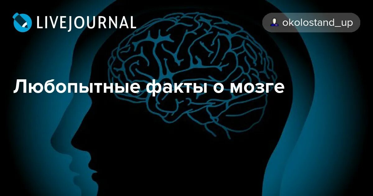 Факты про мозг. Интересные факты о мозге. Интересные факты о мозге человека. Удивительные факты о мозге для детей. Интересные факты о головном мозге.