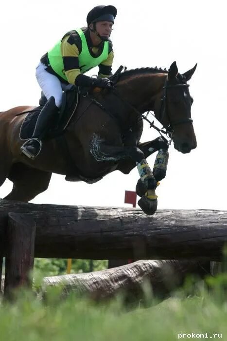 Олимпиада-2008: троеборье - Екатерина Штатнова - equestrian.ru