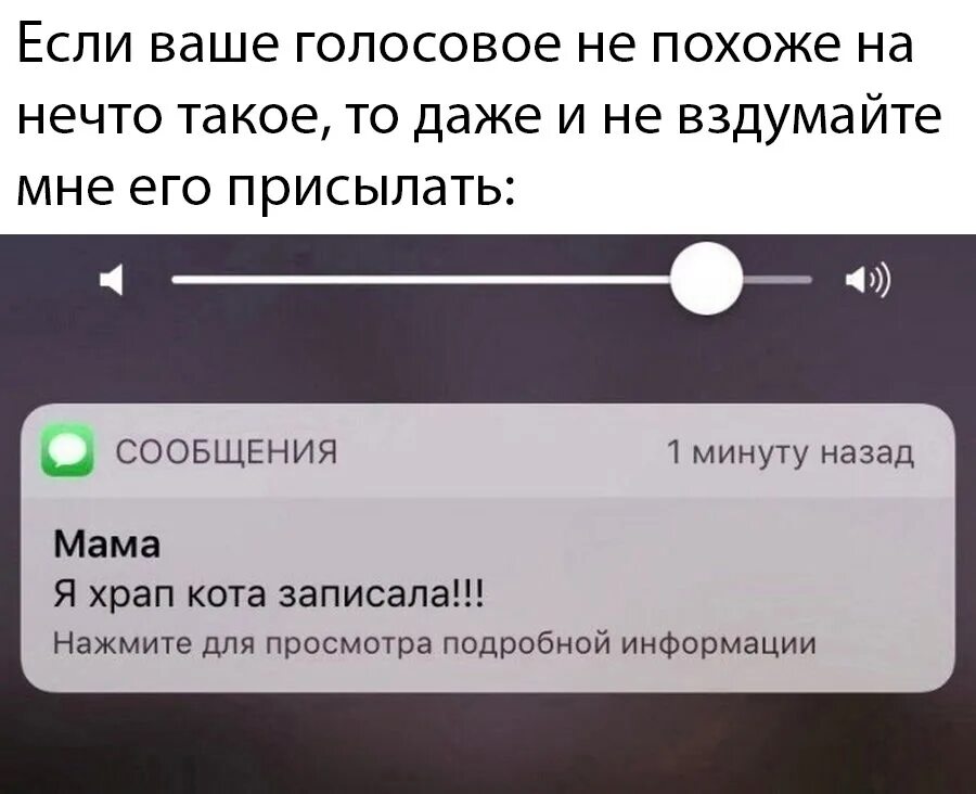 Голосовое уведомление. Голосовые сообщения прикол. Шутки про голосовые сообщения. Мемы про голосовые сообщения. Бесят голосовые сообщения.