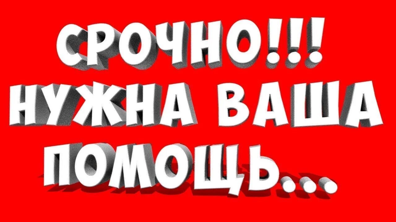 Срочно требуется операция. Срочно нужна ваша помощь. Нужна помощь. Нужна ваша помощь. Срочно нужна помощь картинки.