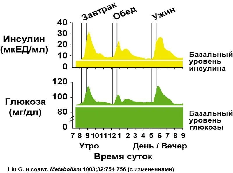 Уровня выработки инсулина. Уровень инсулина. Базальный уровень инсулина. Уровень инсулина после ед. Пик выброса инсулина.