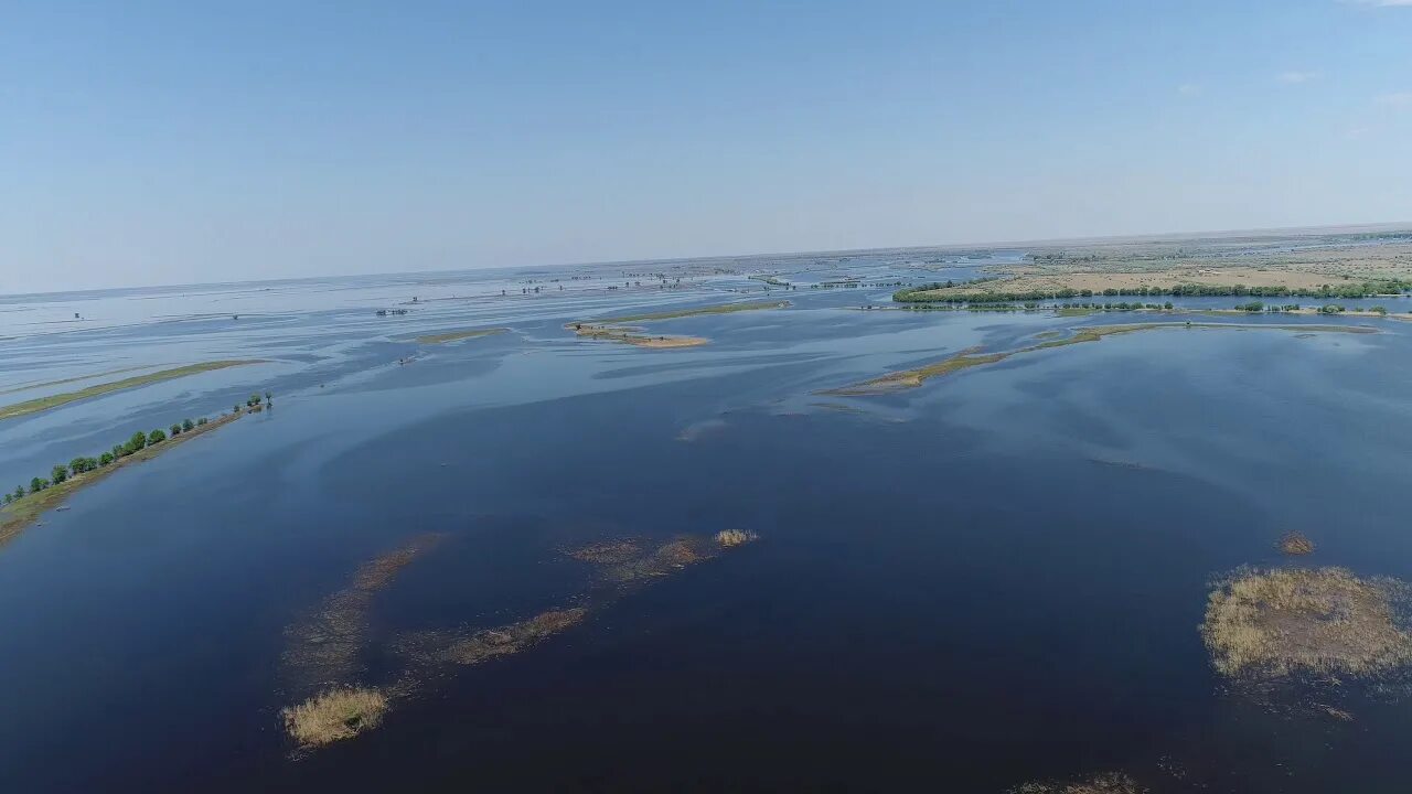 Тип устья волги. Каспийское море дельта волги. дельта реки волга. астрахань каспий волга. дельта волги при впадении в каспийское море.