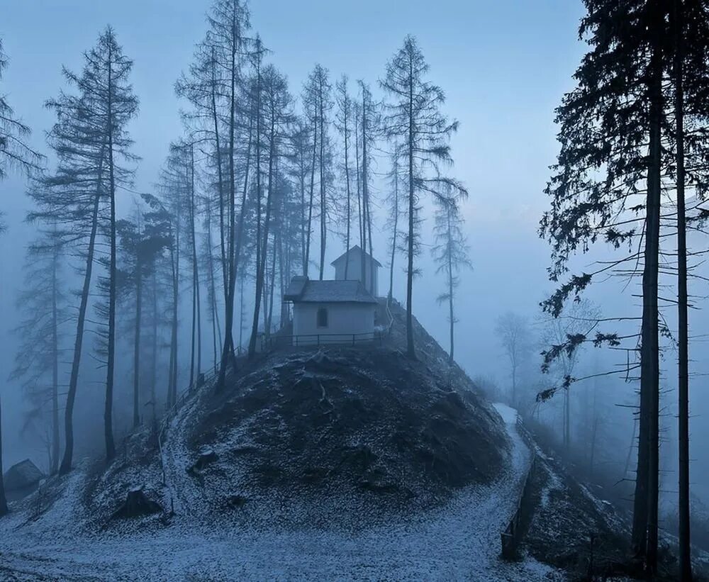 Одинокий холм. Чёрный лес Шварцвальд храм. Скандинавия лес Шварцвальд. Скит отшельника лес. Домик в лесу.
