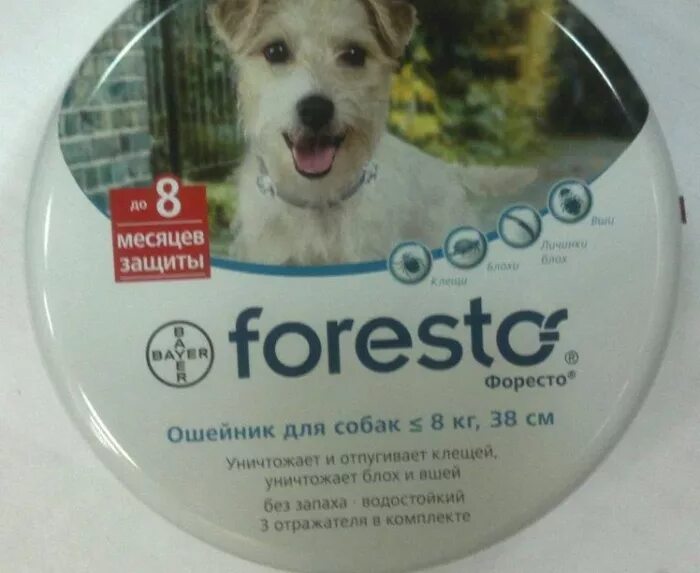 ошейник форесто для мелких собак. ошейник от клещей для собак адвантикс. форесто ошейник для собак мелких пород. ошейник для собак bayer форесто от 8кг от клещей блох. ошейник байер форесто.